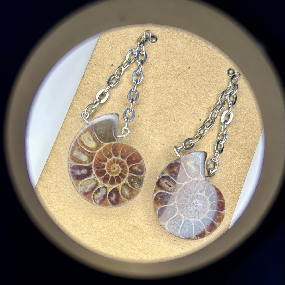 Silver Ammonite Chain Earrings